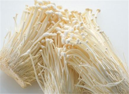 金针菇的营养价值与科学食用量 小小菌菇，大大能量