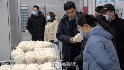 走进企业看风采 德州“政府开放日”让市民近距离了解招商“成绩单”——从金针菇看发展